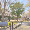 桜が見ごろの松任城址公園へ