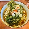 会津（堀切菖蒲園）春菊天うどん