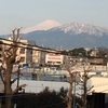 春の富士山