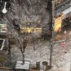 雪が降っています