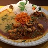 「spice curry cafe  KOTTA」 野々市市若松町