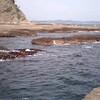 江ノ島神社に行ってきました