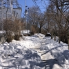 【筑波山登山】まだ、雪が残ってる筑波山へ