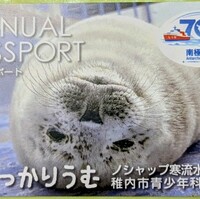 わっかりうむ年間パスポート種類一部とあざらしつながりで