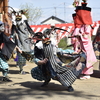 農業らしい腰の動き「干し物獅子」、埼玉県川越市「石田の獅子舞」から考える環境適合型の獅子舞