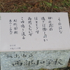 万葉歌碑を訪ねて（その１７４８～１７５０）―坂出市沙弥島　万葉樹木園（２２）～（２４）―万葉集巻八　一四九一、巻八　一六二三、巻九　一七四五