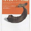 アイドルはスキャンダルによって内奥性を失い推し活の対象から外れる、失意のファンは失われた内奥性を求めて夜の闇を徘徊する