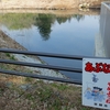 笠間の野池群（茨城県）