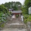 コロナ禍からアジサイ園復活！あじさい寺・矢田寺（2023年情報もあります）