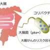 コリバクチン毒素に関する雑学！