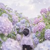 雨の紫陽花の中にたたずむ凛