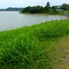 浄土池（三重県鈴鹿）