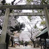 那古野神社　＠名古屋市中区