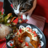 かぼちゃと人参から米粉クリスマスケーキができた【レシピ付き】