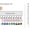 【Surveyの確認】A Survey on Visual Transformer