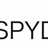 【米国ETF】【配当】SPYDから配当支払いがありました