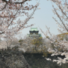 【大阪観光】大阪城公園で、大阪城と桜のコラボを楽しむ！