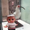 キューピーが会いたかったNipponia nippon　世界文化遺産「佐渡の旅」