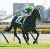 【Prediction】Japanese Derby & Meguro Kinen