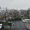 (巻四十三) 手をはなすやうに一葉の落ちにけり(岡本保)