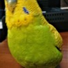 ３月２８日の相場を見てみたよ　チュン