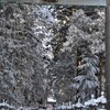 今年の富士山は寒くてよく雪が降ります。