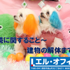 #鳥取　#建物解体　建物解体工事のことなら、エル・オフィス！！どこよりも安価に！！丁寧に！！