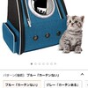 猫 キャリー ペットキャリー バッグ リュック Okiki【2020年最新 マットを改善】 