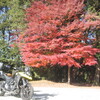 吉野山の紅葉とゼッピン　ラ・ペッシュのモンブラン