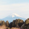 今朝の景色