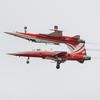 【パトルイユ・スイス】スイス空軍アクロバットチーム「パトルイユ・スイス/Patrouille Suisse」の展示飛行｜エアタトゥー・RIATにて