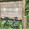 実走44、皿ヶ嶺5、73km