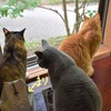三密はどこ行った？