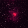 NGC1491（可視～近赤外画像）