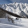 長野県白馬村の各スキー場、1月6日時点での積雪量・コース状況一覧