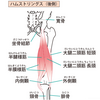 1歩進んで３歩戻る(´；ω；｀)