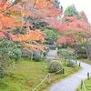 即宗院の紅葉2020。月輪殿跡の庭園で見頃。