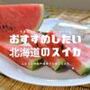 【ふるさと納税にもおすすめ】通販で購入できる北海道の美味しいスイカをご紹介！