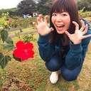 ahy_s196’s diary