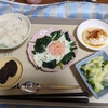 桜が散って行くのに合わせるように、緑の青葉がどんどん、茂って来る。あっという間に、緑に埋め尽くされるだろう。緑が花の代わりに、満開になる！🪴夏は直ぐそこだ！緑萌える。