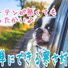 カーテンを持たないミニマリストの冬支度！簡単にできる寒さ対策♪