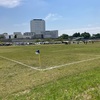 息子のサッカー応援にいく