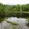 なつかしの信州旅（58）：牛留池 ② から三本滝 ①（長野県松本市）