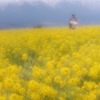 春の予感