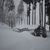 ３日連続の降雪