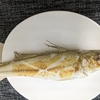再び台南から