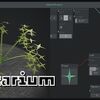 植物の3Dモデルをビジュアルプログラミングで作成できる「Plantarium」を使ってみた！