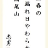 立春の木漏れ日やわらか高尾山