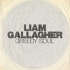 Liam Gallagher 『Greedy Soul』 和訳