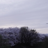 桂川緑地公園付近